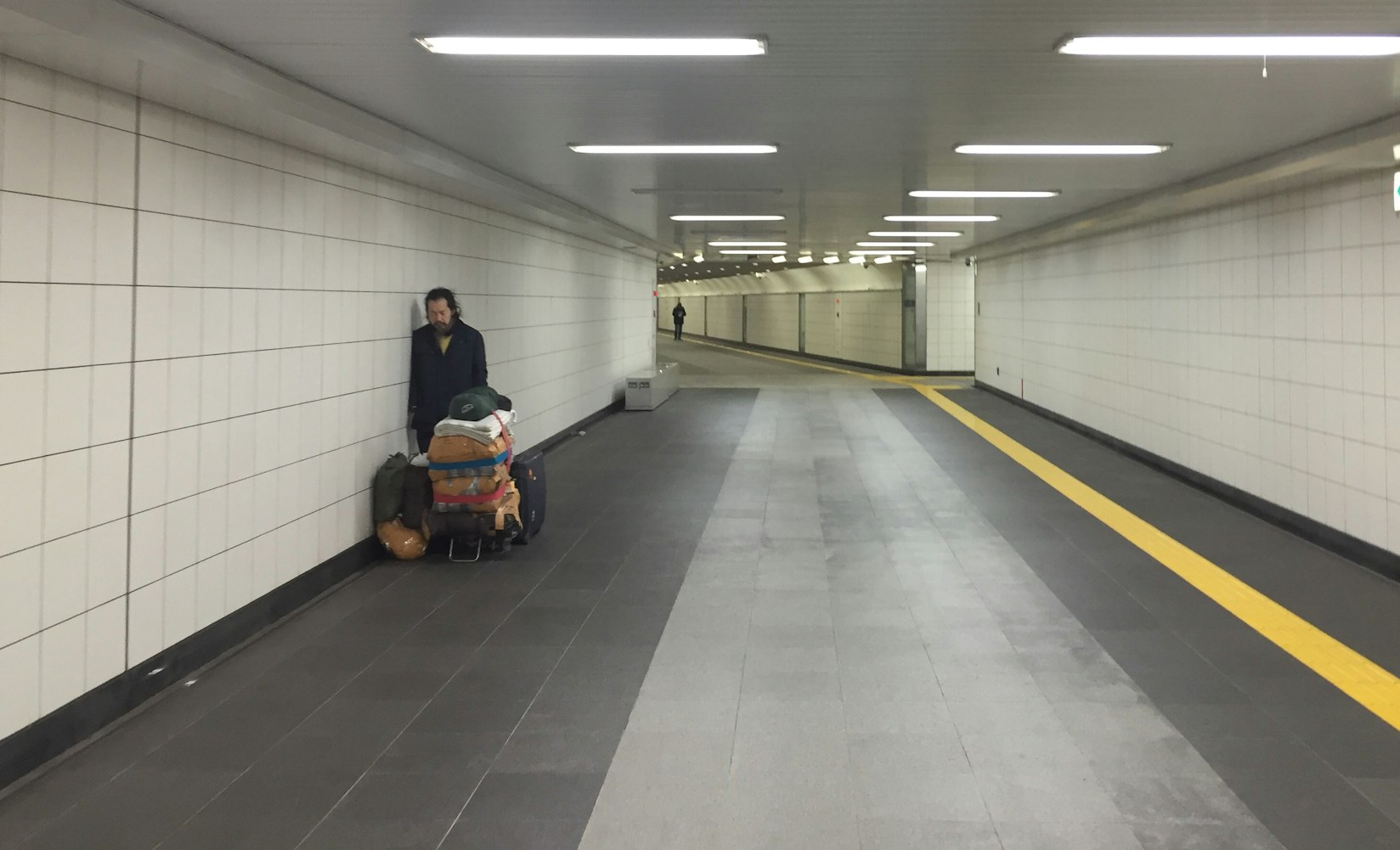 最新专利动态与创新科技的飞速发展概览