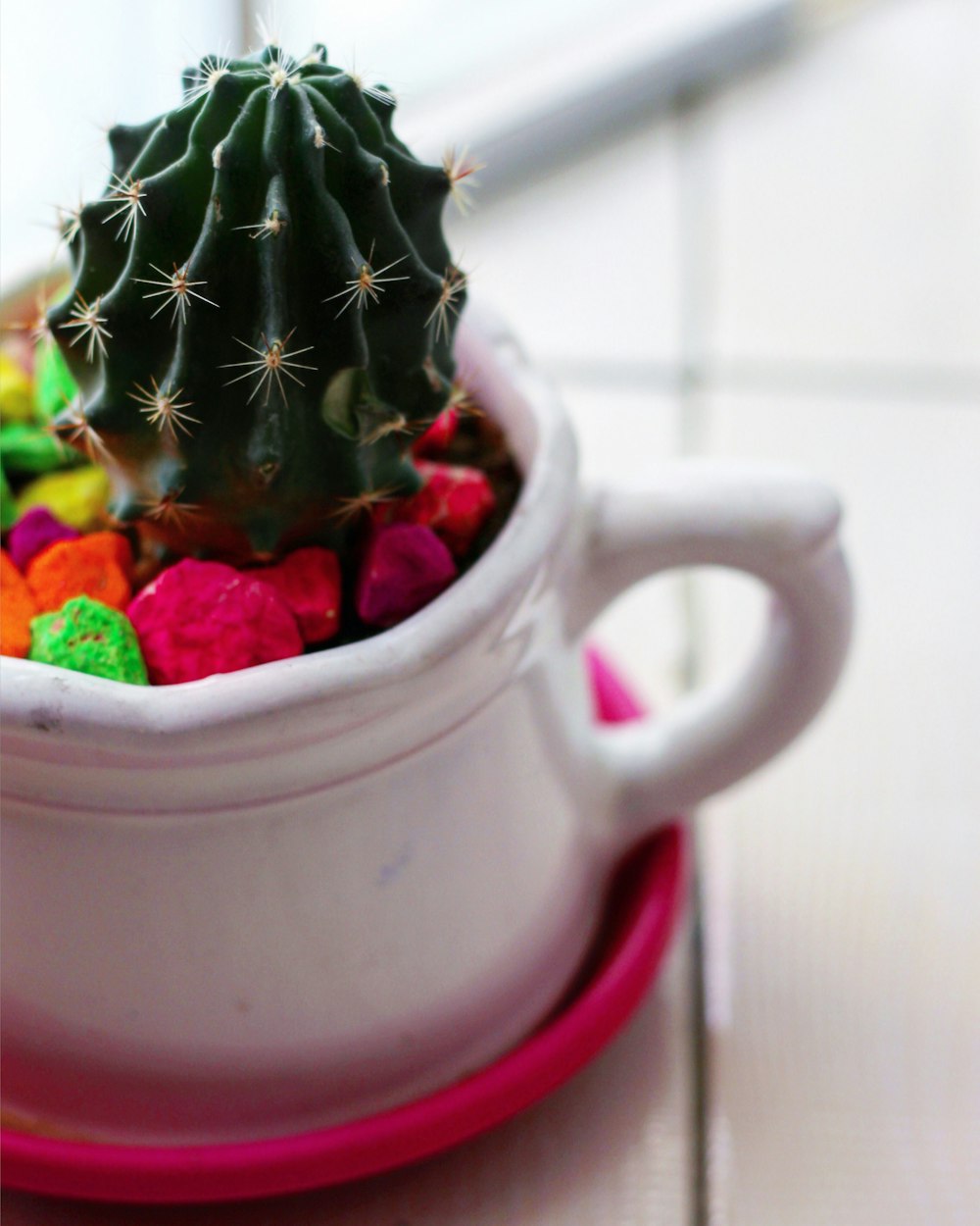 最新菜式推荐,探索美食的新境界