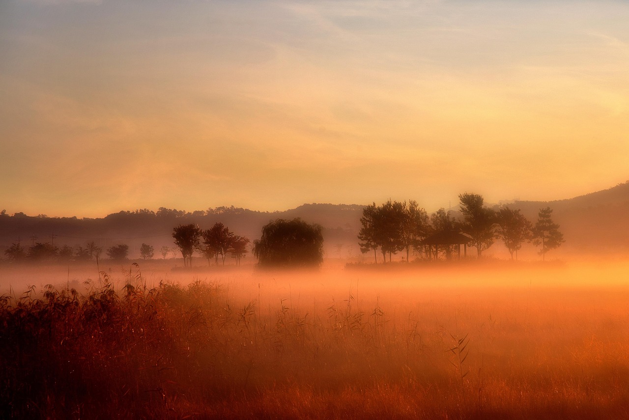 探索动漫背景图的魅力，美丽画面令人陶醉