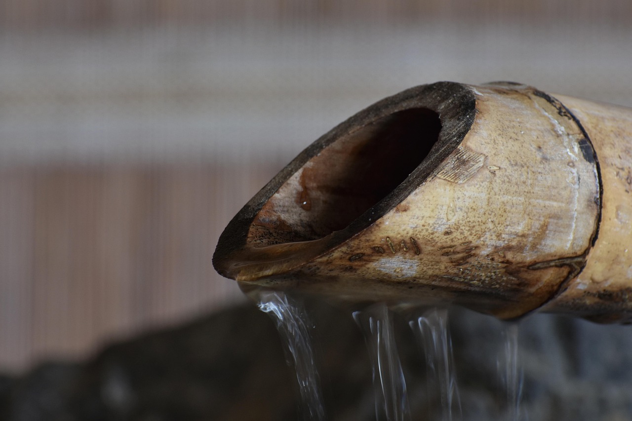 辽源最新要闻概览,最新动态一网打尽