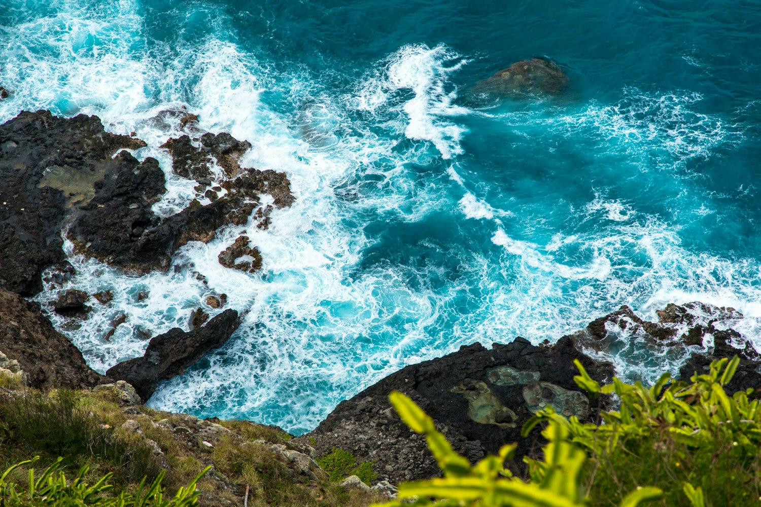 饥荒海难最新版，生存挑战与海洋探索之旅