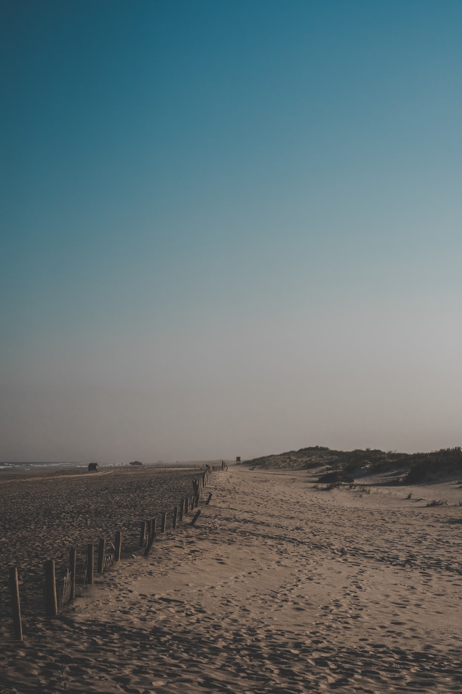 吉林农产品行情软件手机版,掌握农业市场动态的专业必备工具