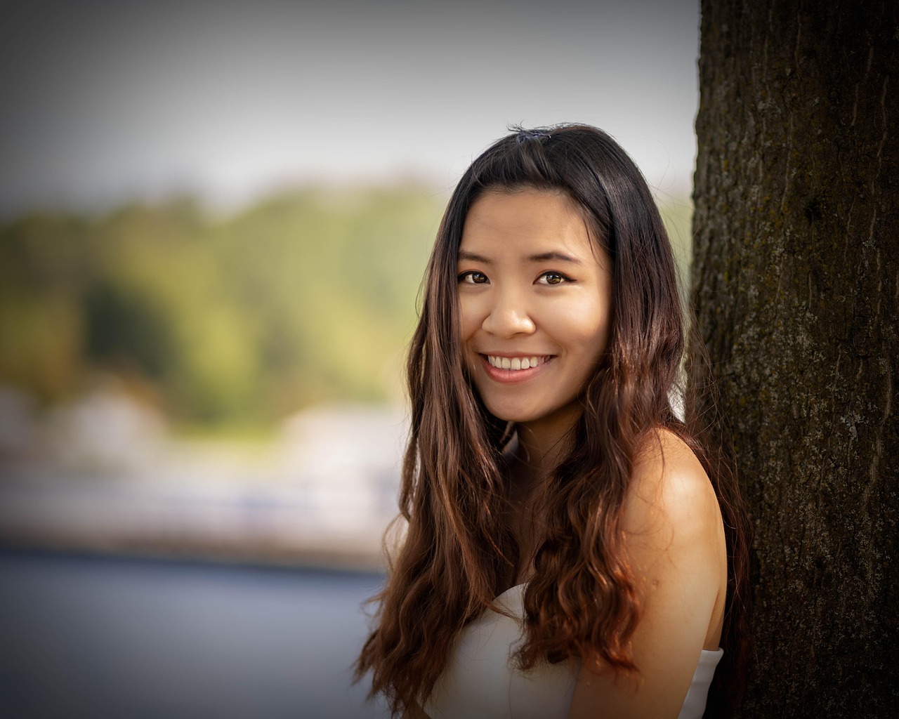 日本演员中野良子的魅力与影响力概览