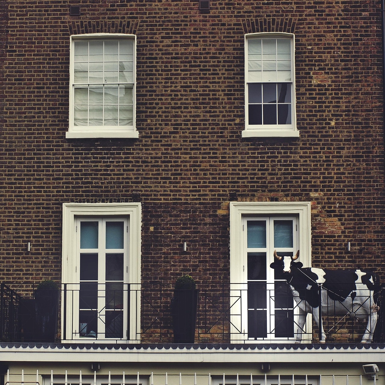 牛驼最新住宅价格概览与动态分析