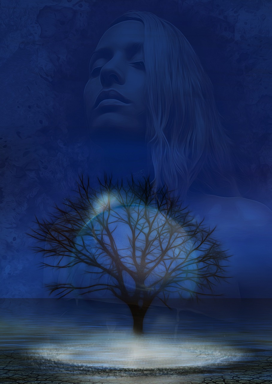 探索电影艺术魅力的神秘之旅，神马电影一级