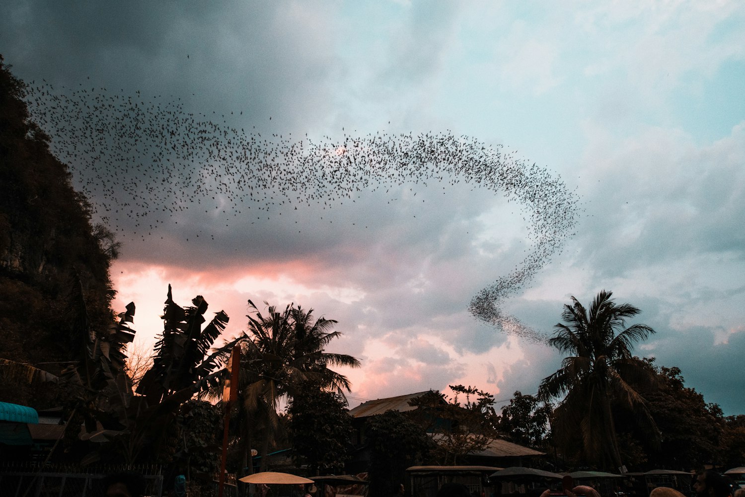 探索桃红世界的新风貌,时尚新潮与未来趋势的交融