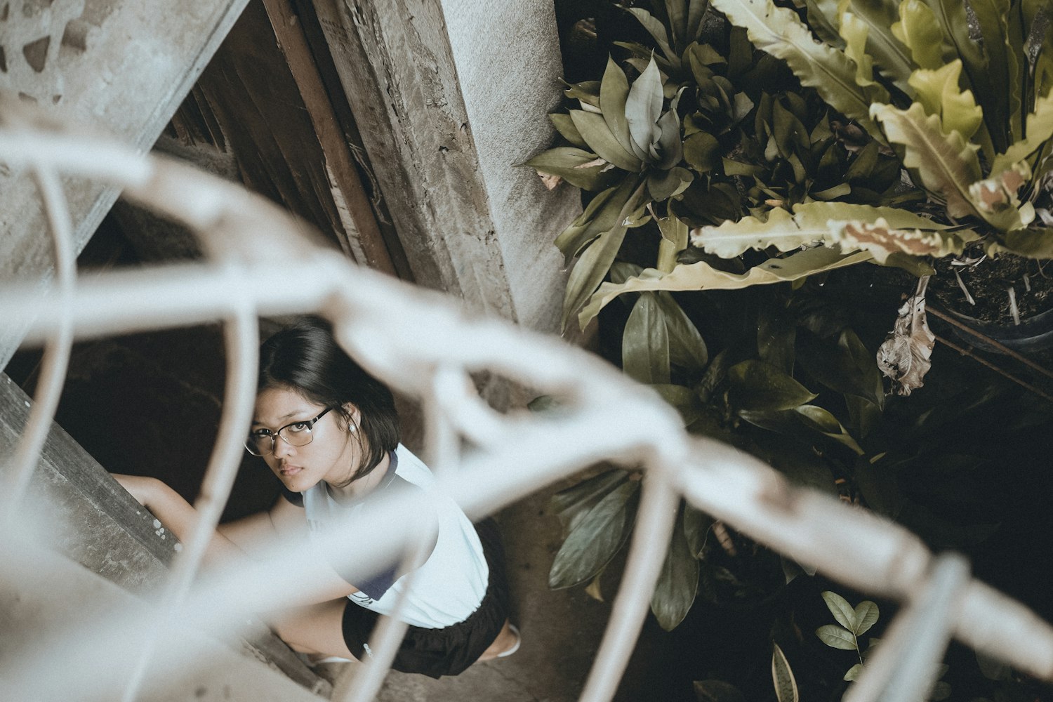 枞阳御华府最新房价动态及趋势分析