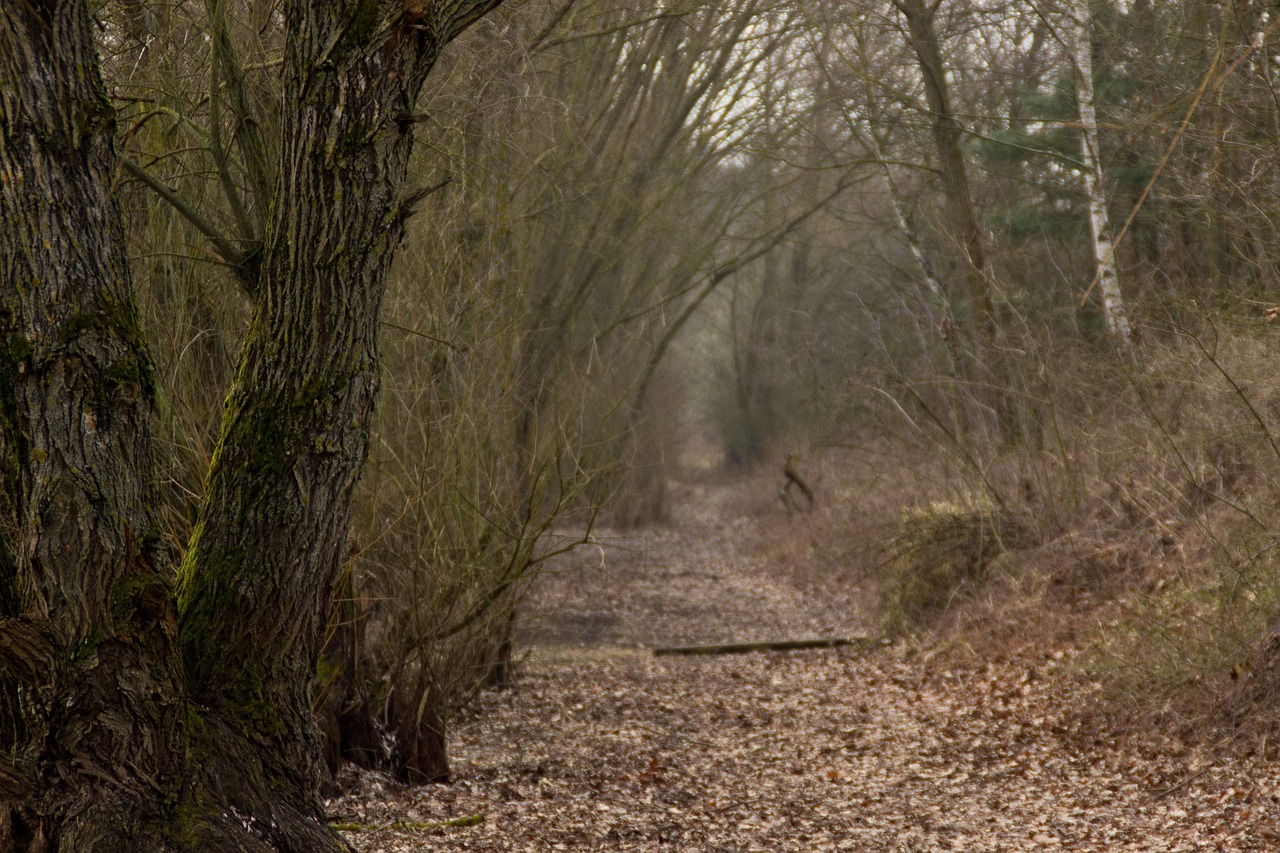 2026年1月 第224页