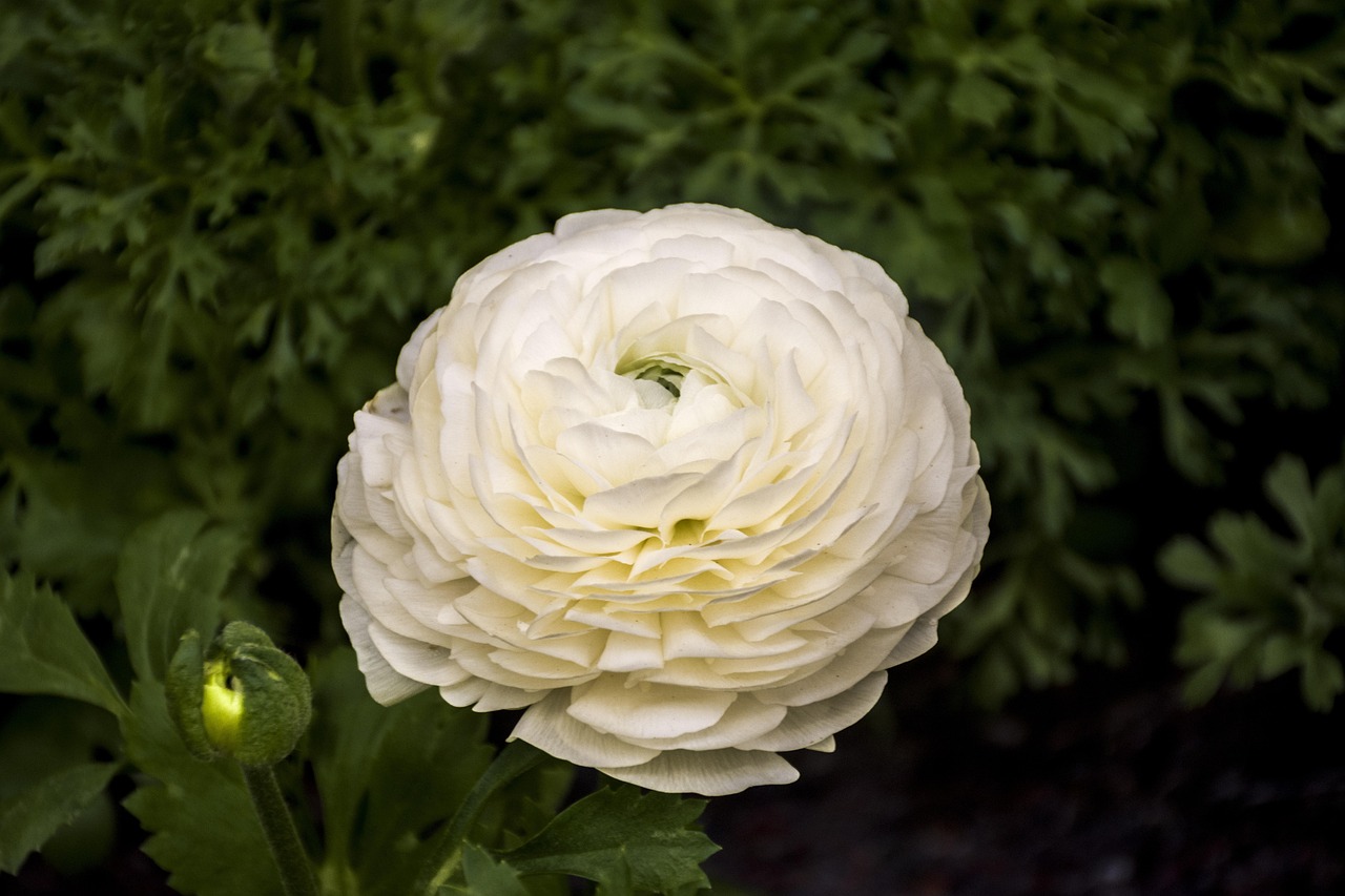 随州迎宾花园最新动态揭秘，最新进展与资讯更新