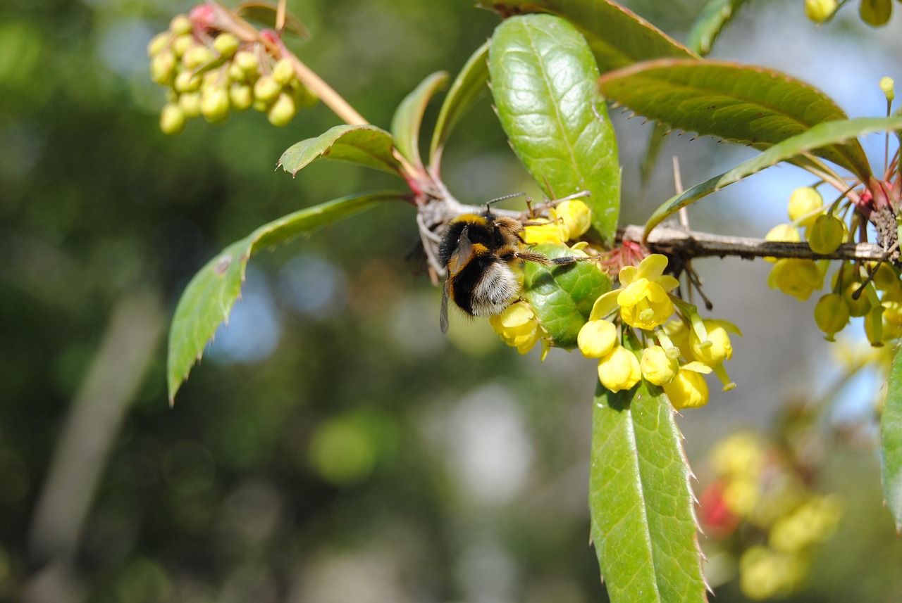 随州迎宾花园最新动态揭秘,最新进展与资讯更新