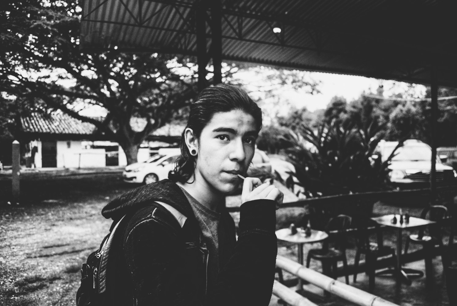 探索星光之路,揭秘最有青年演员奖背后的传奇人物,谁将荣膺青年演员奖?