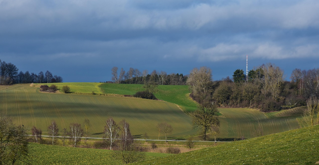 常熟土地拍卖最新动态,市场走势、前景展望与拍卖活动更新情况分析