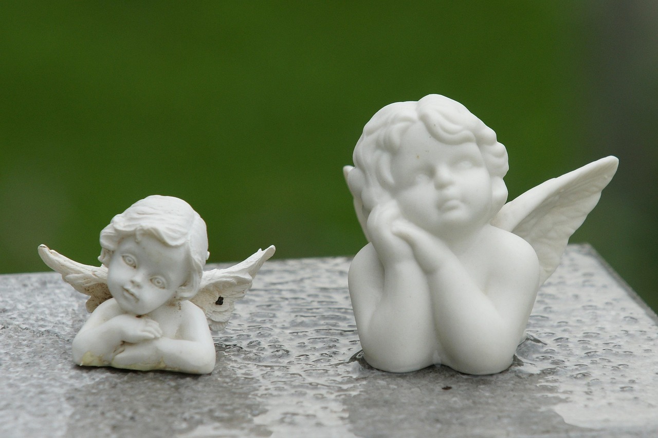 郸城水库动态,生态、发展与保护的和谐共舞之旅