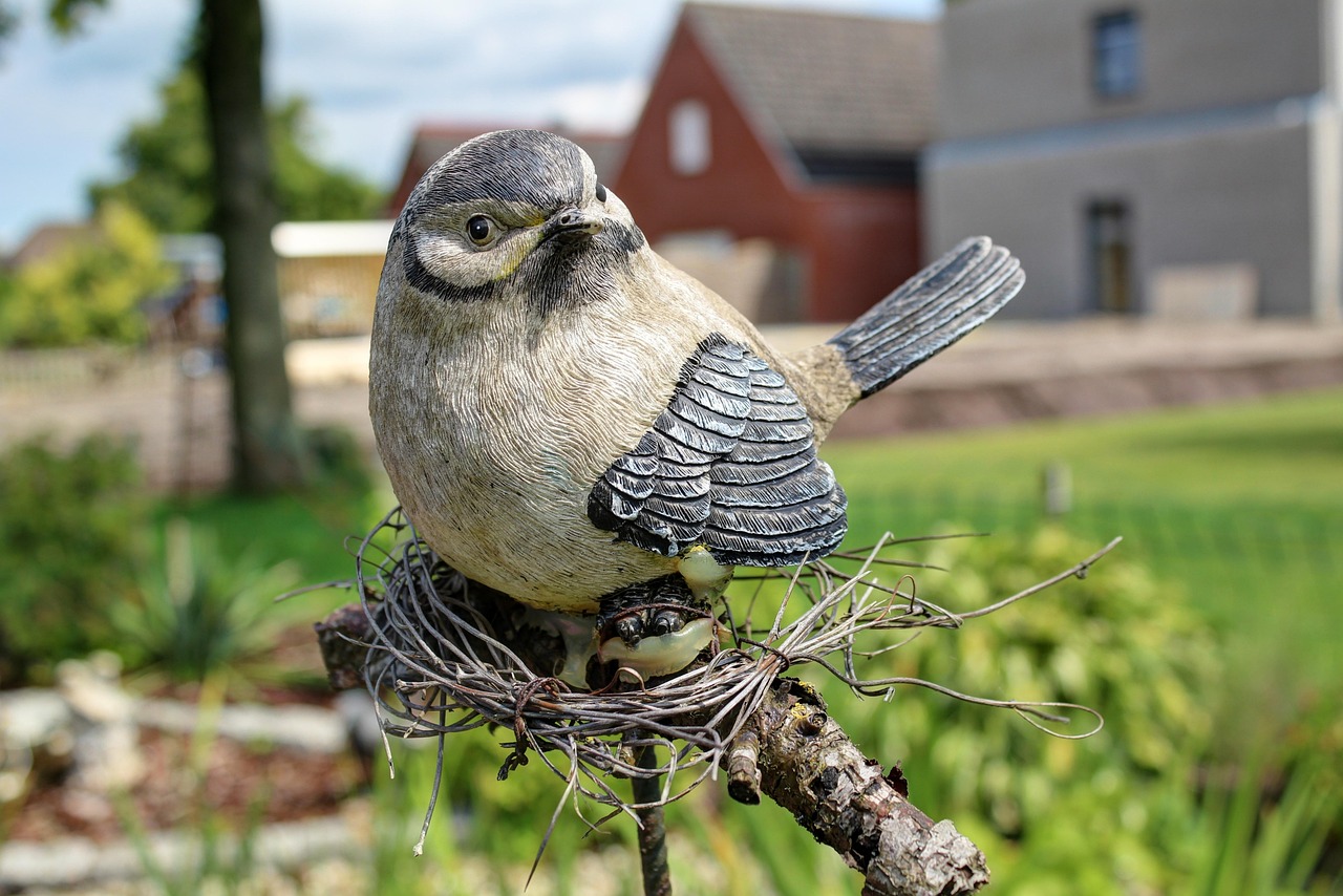 石钢动态速递最新进展报告