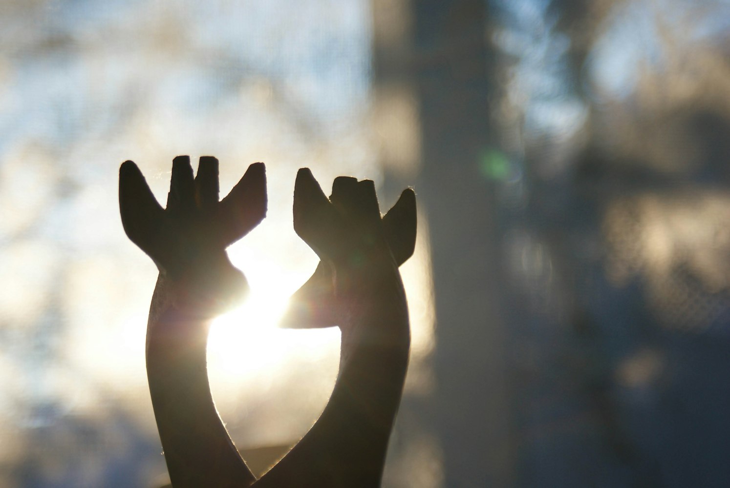 动漫,创意与情感的交织,无尽魅力展现!