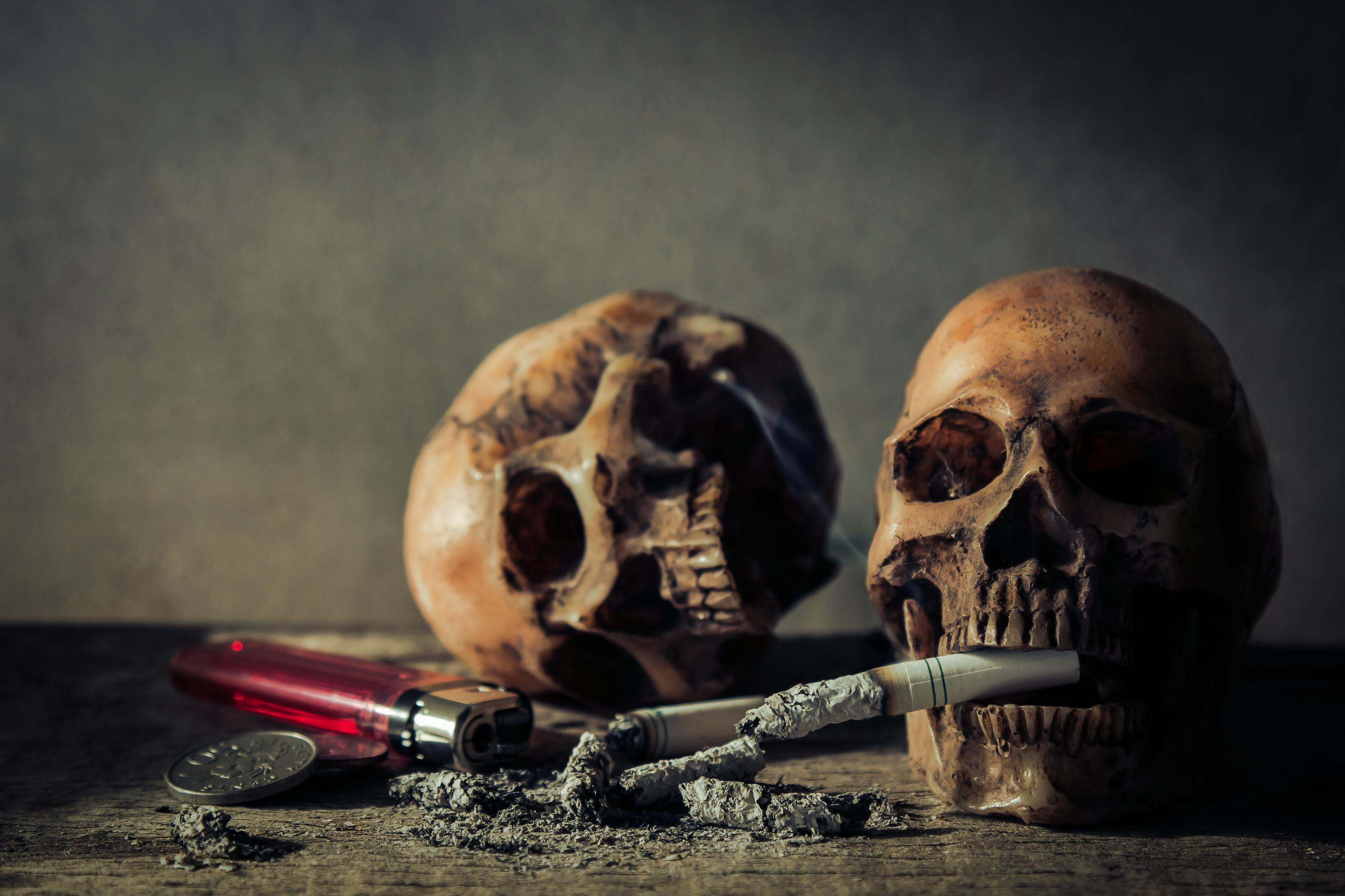 电影中的不死传奇,僵尸演员的生存之旅