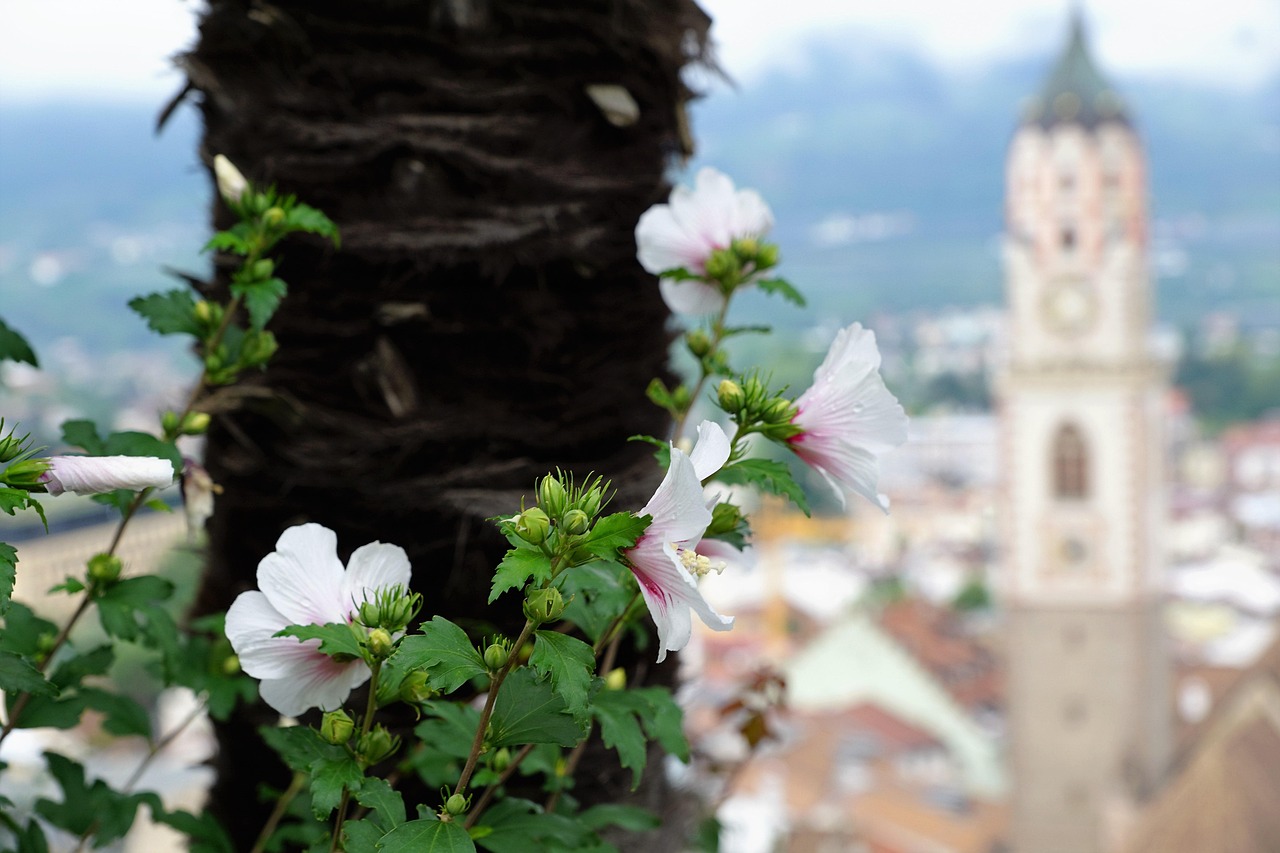 京津冀德州最新动态,区域协同发展的步伐与前景展望