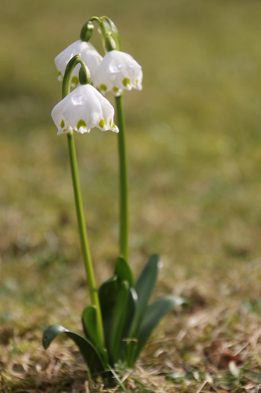 郑立中之子成长轨迹与时代印记,最新动态揭秘