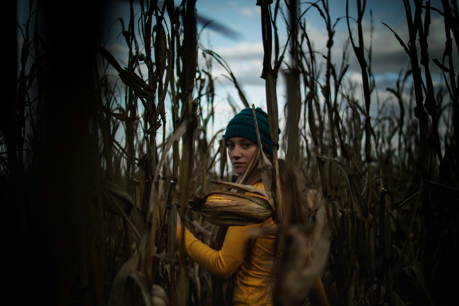 探索成人电影的魅力与影响,电影成人的世界