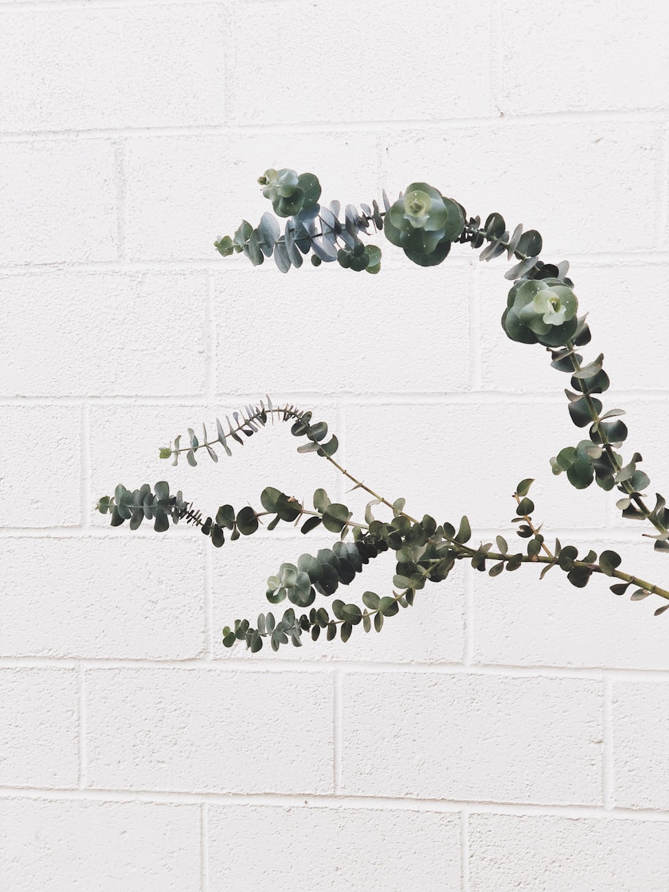 欧菲光股票深度解析