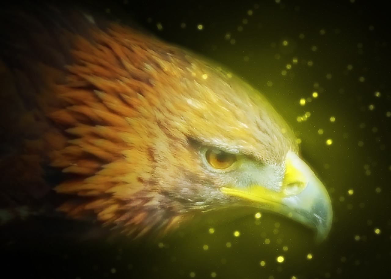 丹麦电影狩猎，深度探索与反思的人性之谜