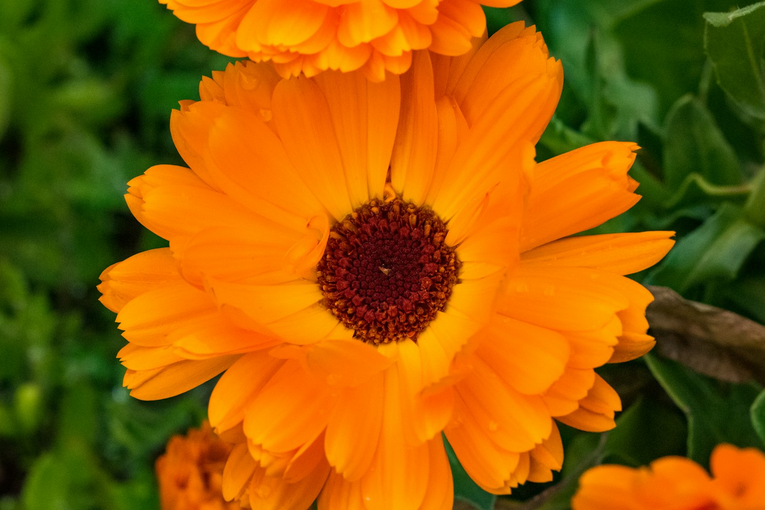 后撤步动态解析，深度探索动作细节与策略应用指南