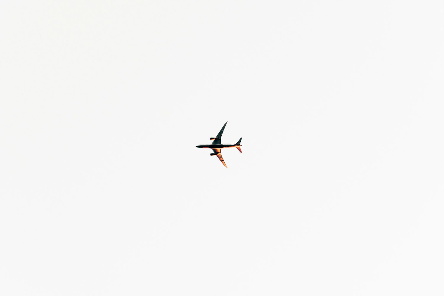 新国都迈向未来的最新动态与展望