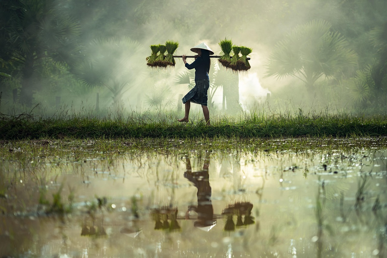 亚洲VA电影的探索与反思