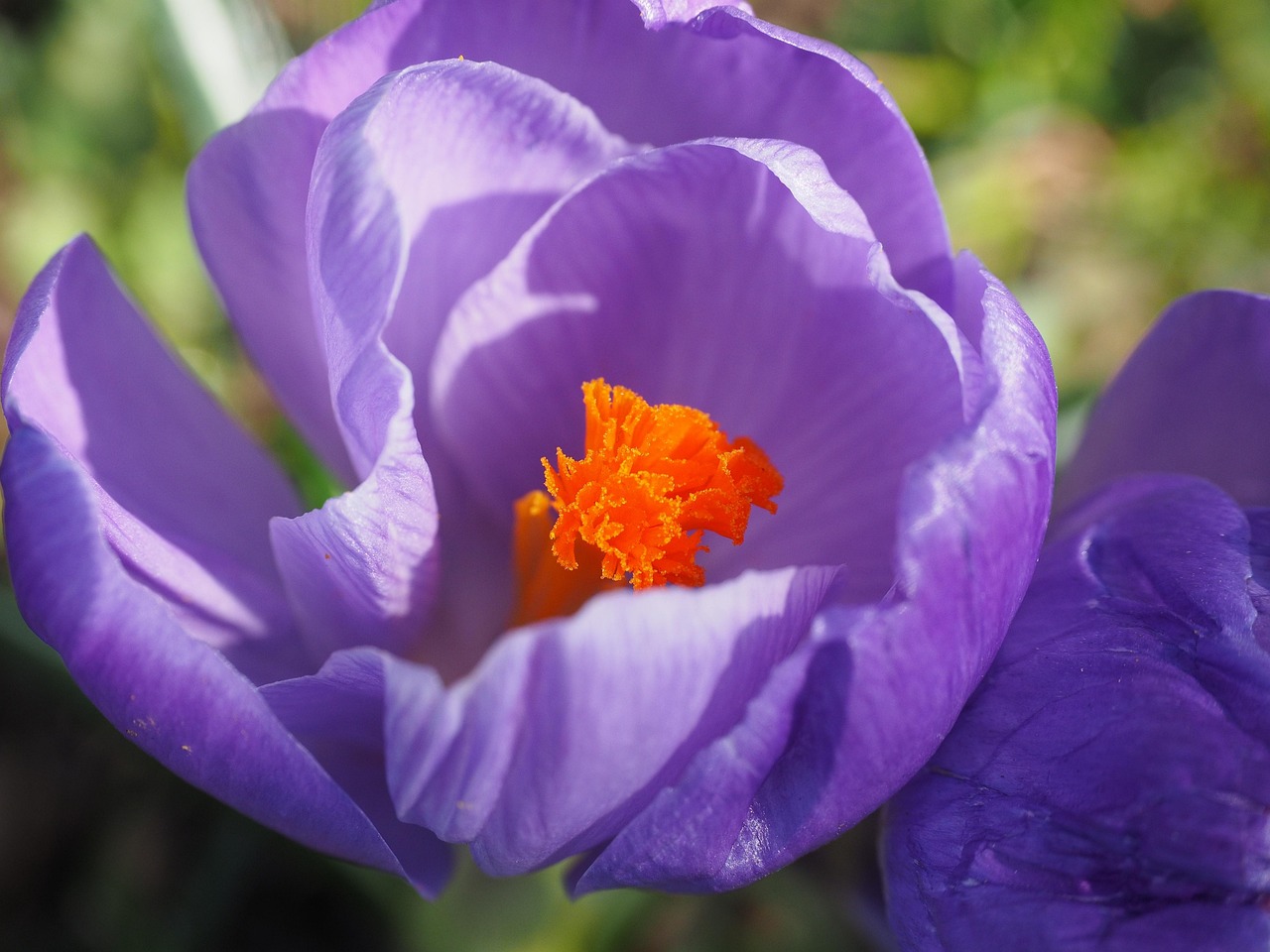 滁州并入南京，区域协同发展新篇章的最新动态