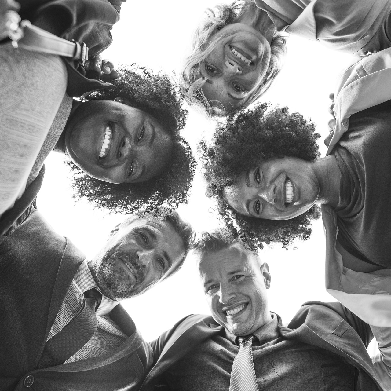 最新团队建设游戏,打造高效团队的秘密武器秘籍!