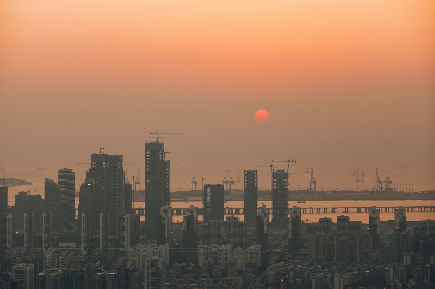 砀山新貌探寻，城市新鲜事揭秘