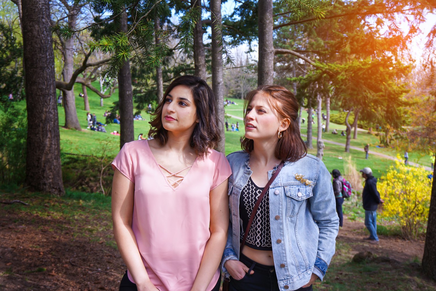 李华月与三级电影的探索之旅揭秘