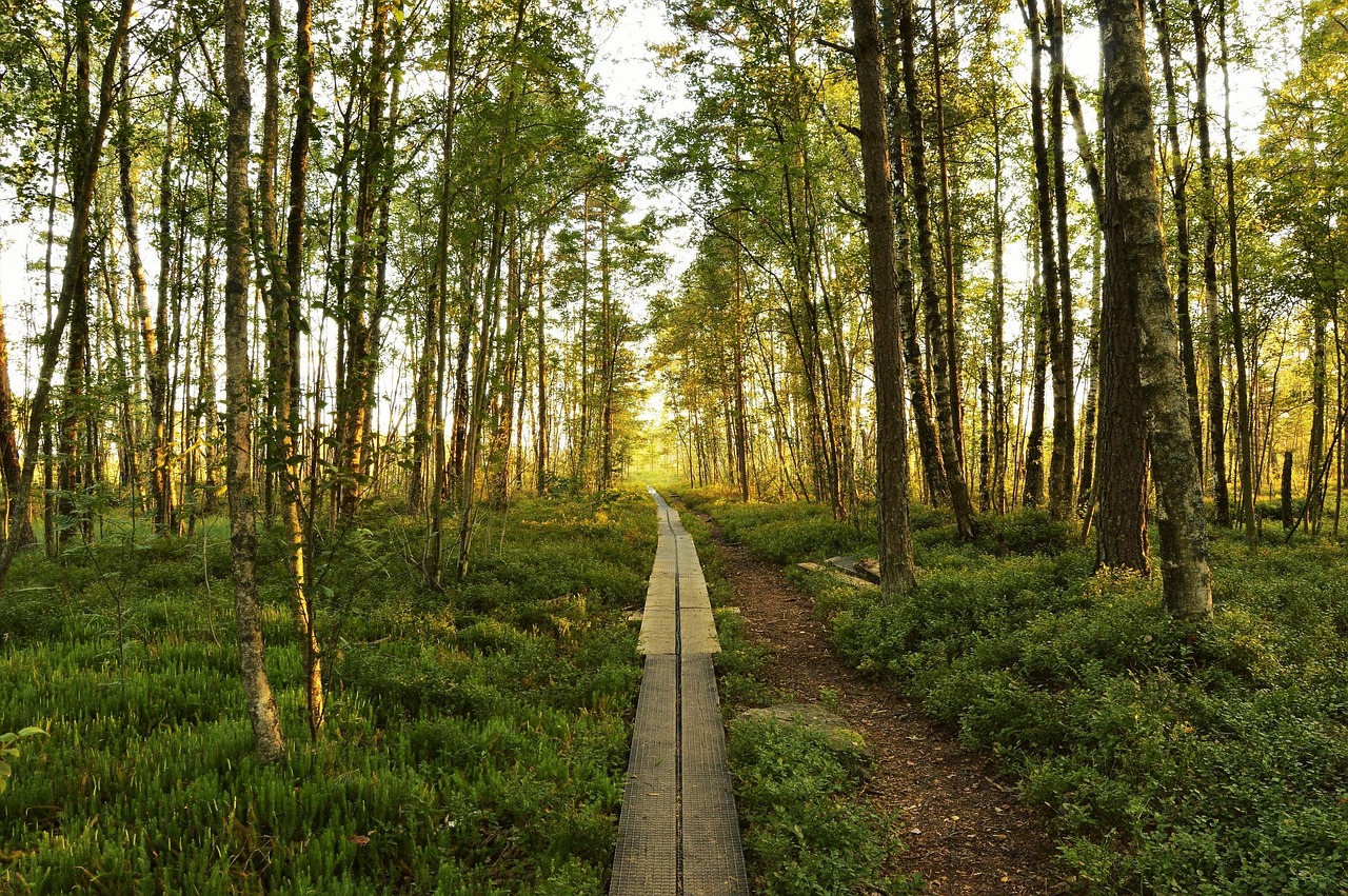 最新周末快乐图集，捕捉生活中的美好瞬间