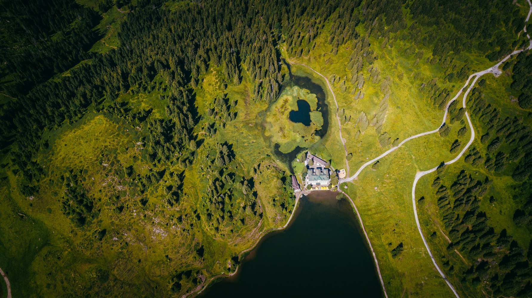 最新称命探索与理解之道