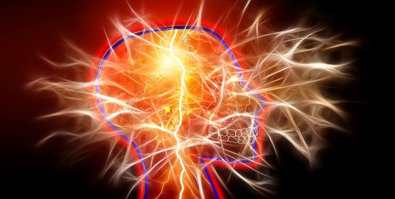 深度解析与赏析，动漫中的调教艺术