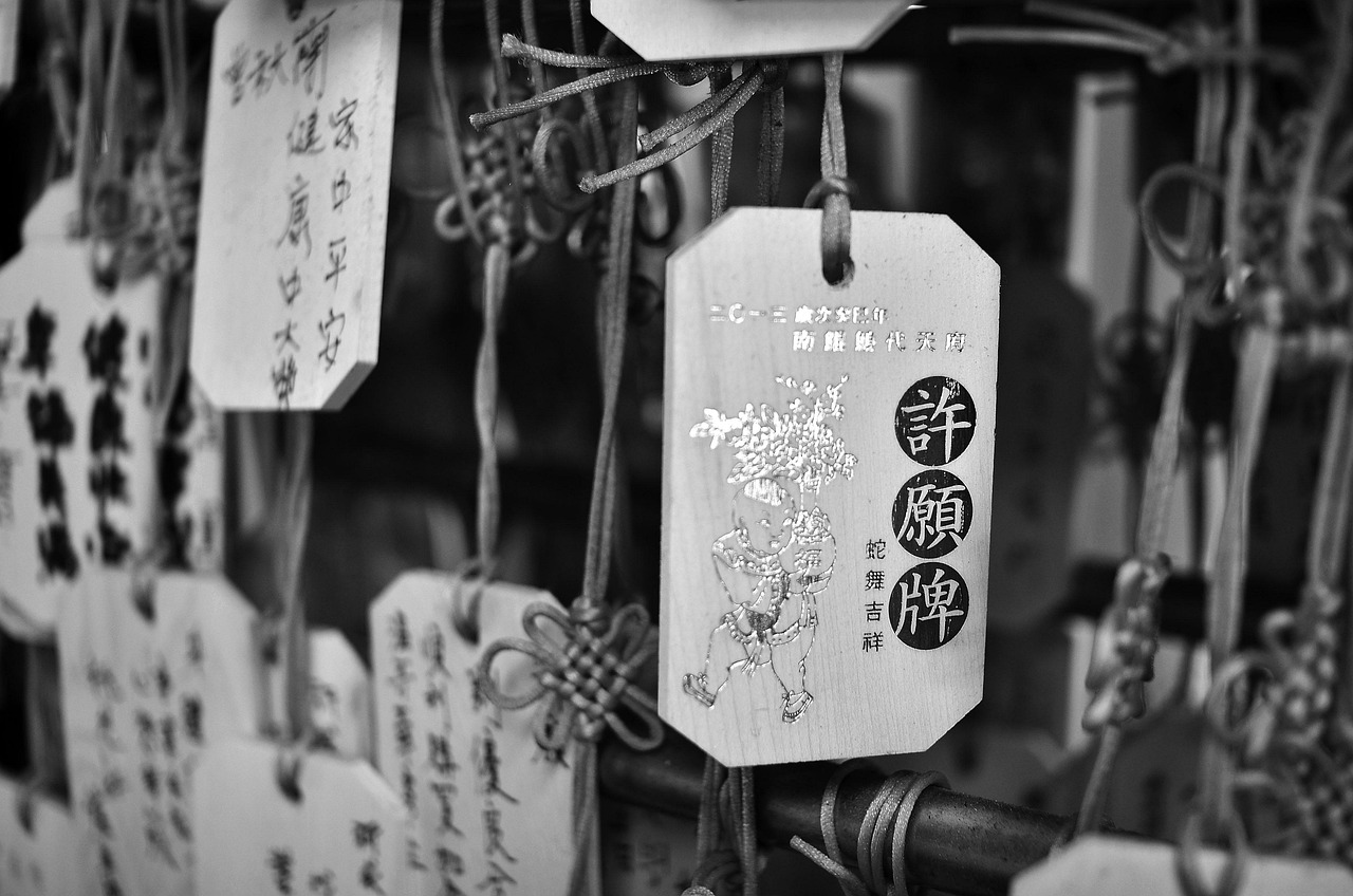 艳医，医术与情感的交融之美最新章节探索