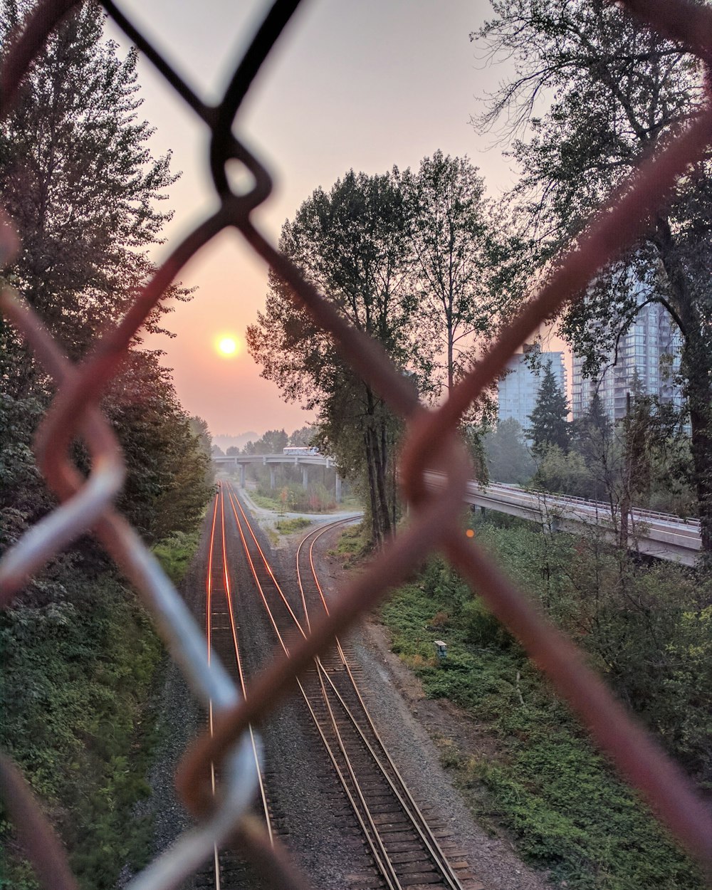 最新列车时刻表详解与更新动态