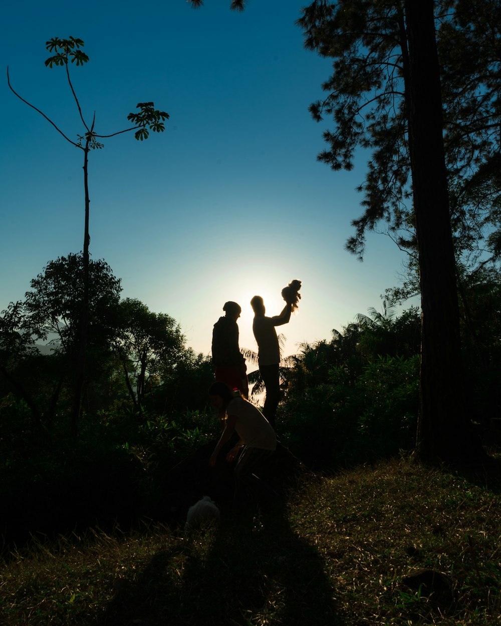 韩国电影春，诗意与情感深度的探索