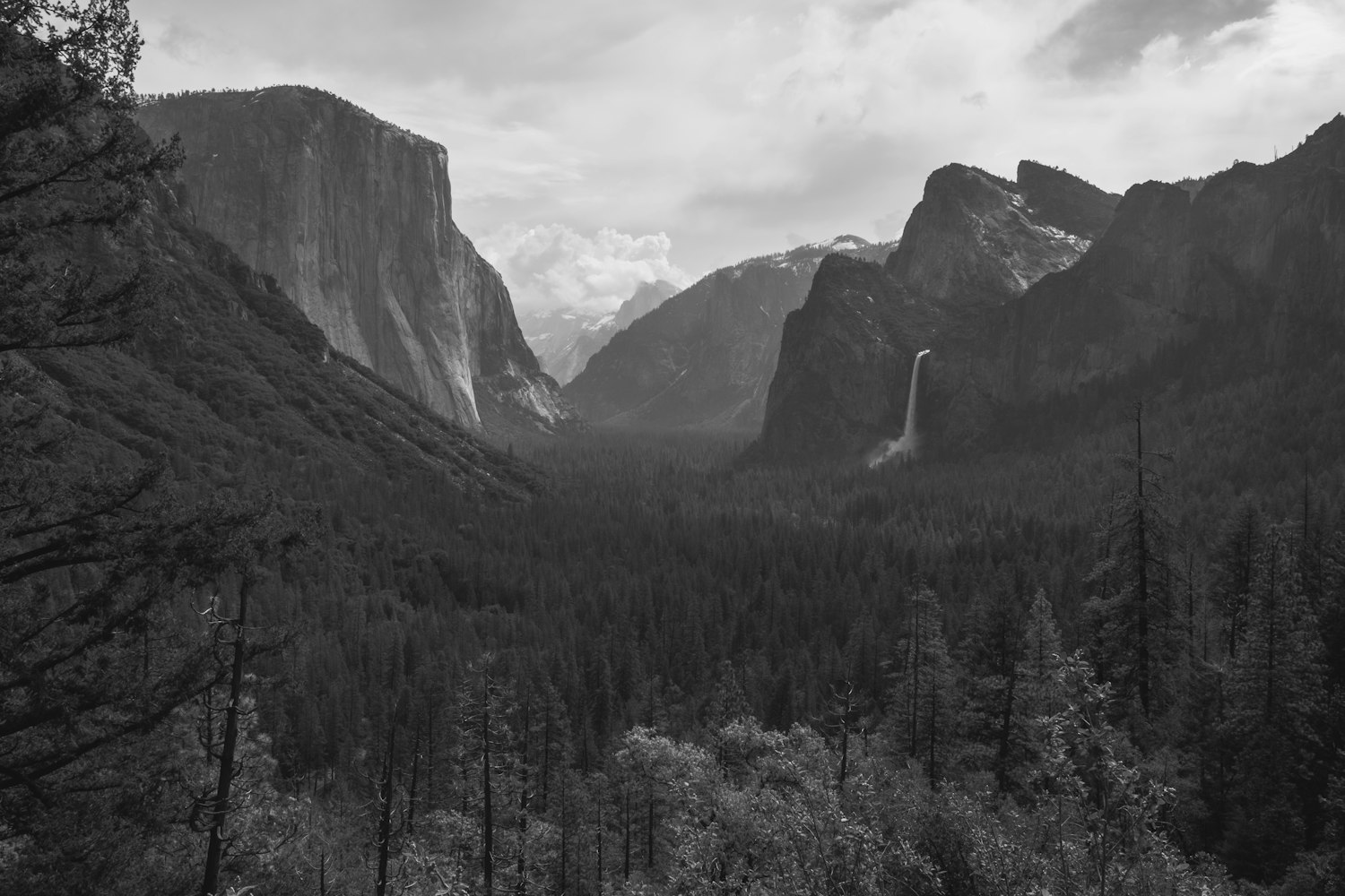 美谷朱动态，自然与科技的和谐共生探索