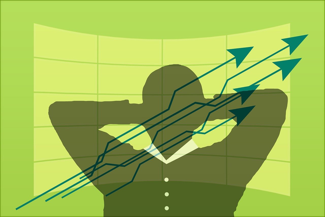 涨停股票的魅力与市场策略探索